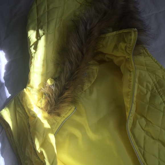 Puffy Jacket super cute! - Picture 6 of 8